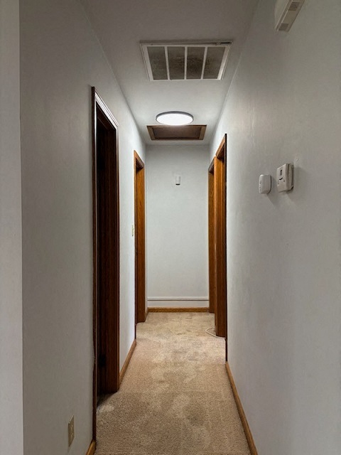 Gallery Photo 13
